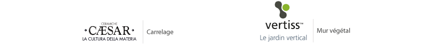 logo Caesar, logo vertiss